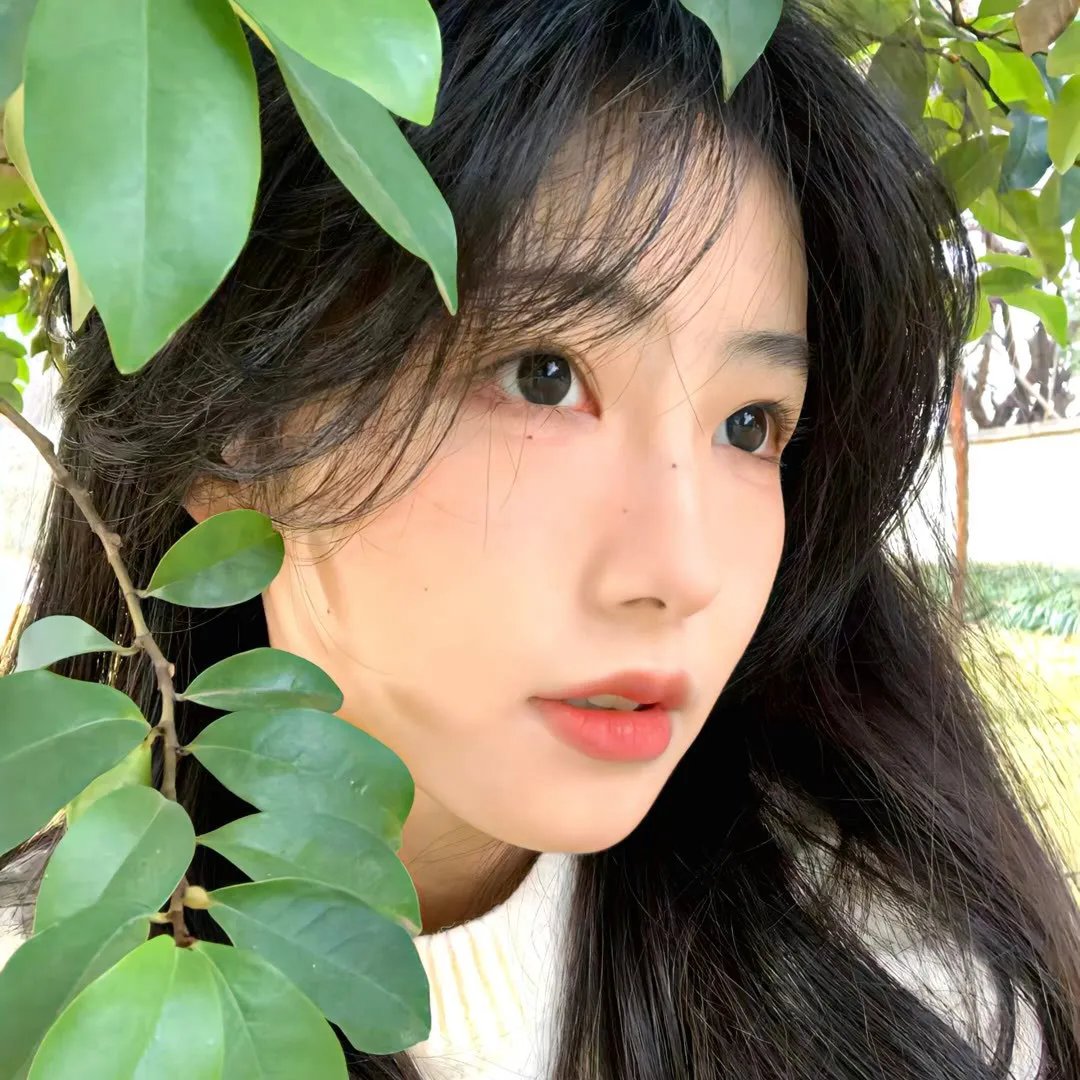 街头霸王：春丽传
